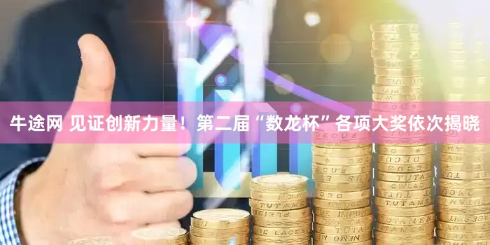 牛途网 见证创新力量！第二届“数龙杯”各项大奖依次揭晓